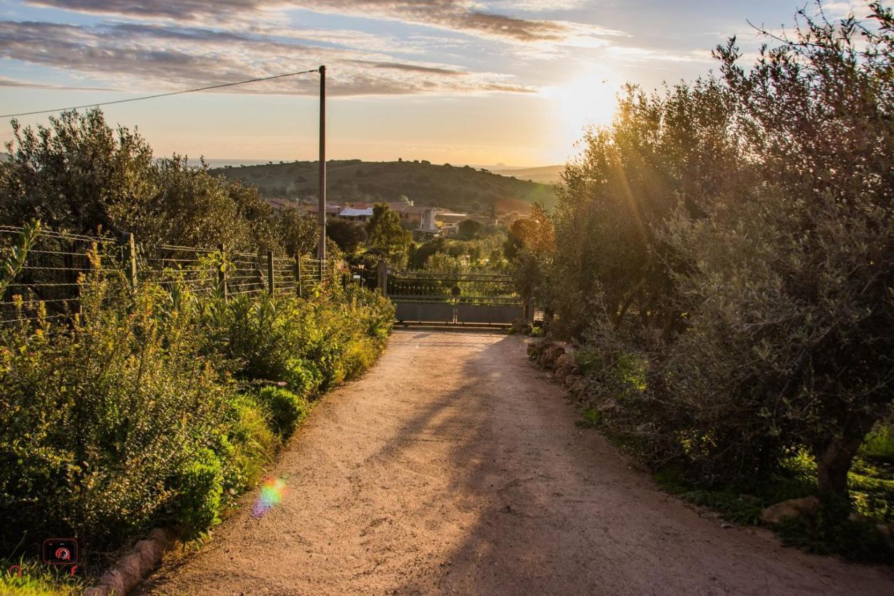 Willa Casa Vacanza Le Dune SantʼAnna Arresi Zewnętrze zdjęcie