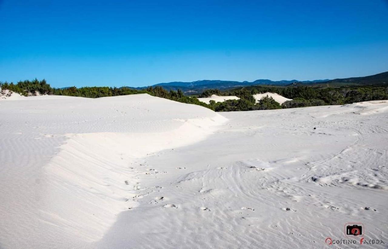 Willa Casa Vacanza Le Dune SantʼAnna Arresi Zewnętrze zdjęcie