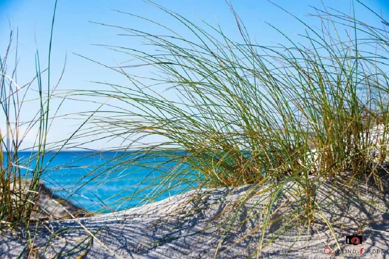 Willa Casa Vacanza Le Dune SantʼAnna Arresi Zewnętrze zdjęcie