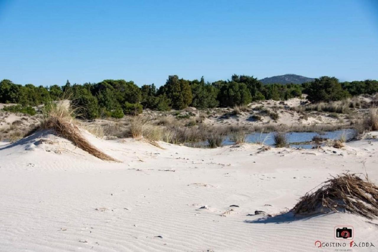 Willa Casa Vacanza Le Dune SantʼAnna Arresi Zewnętrze zdjęcie